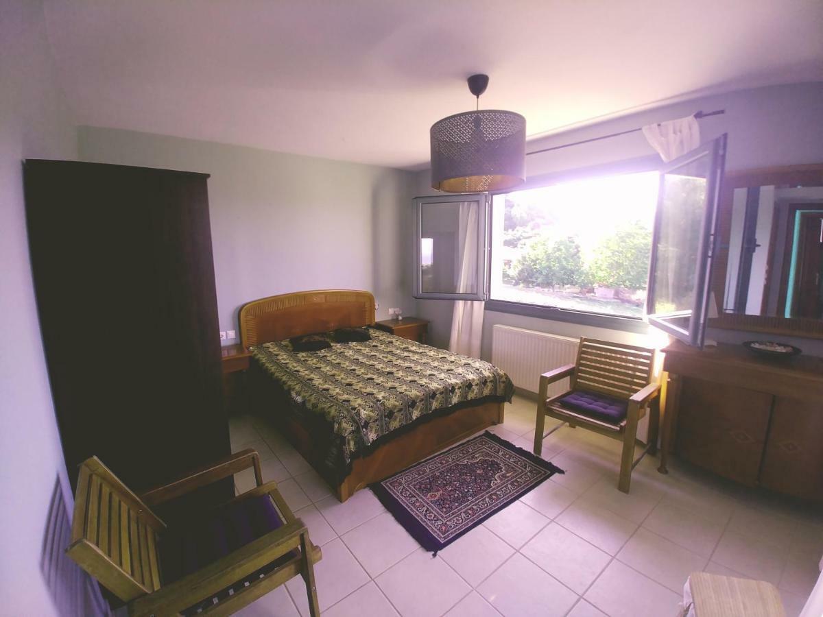 Villa Freebird Vip Bachelor Party & Wedding Events Πευκοχώρι Εξωτερικό φωτογραφία
